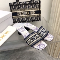 Christian Dior Slippers